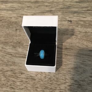 Authentic Pandora Charm